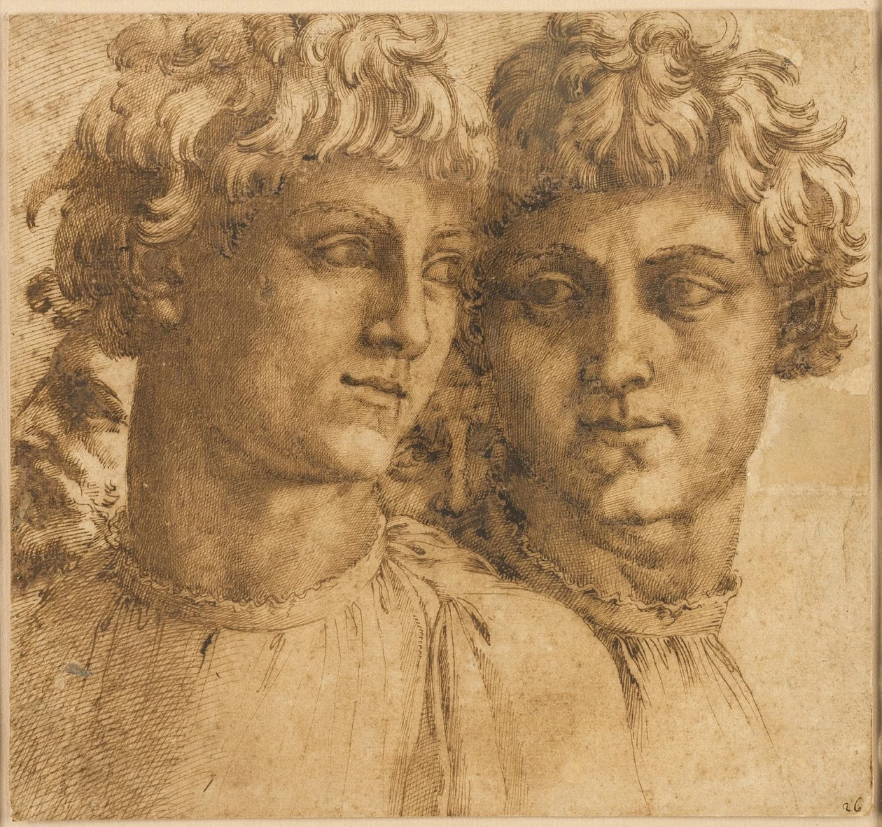 Due studi della testa di un giovane - Art Institute of Chicago